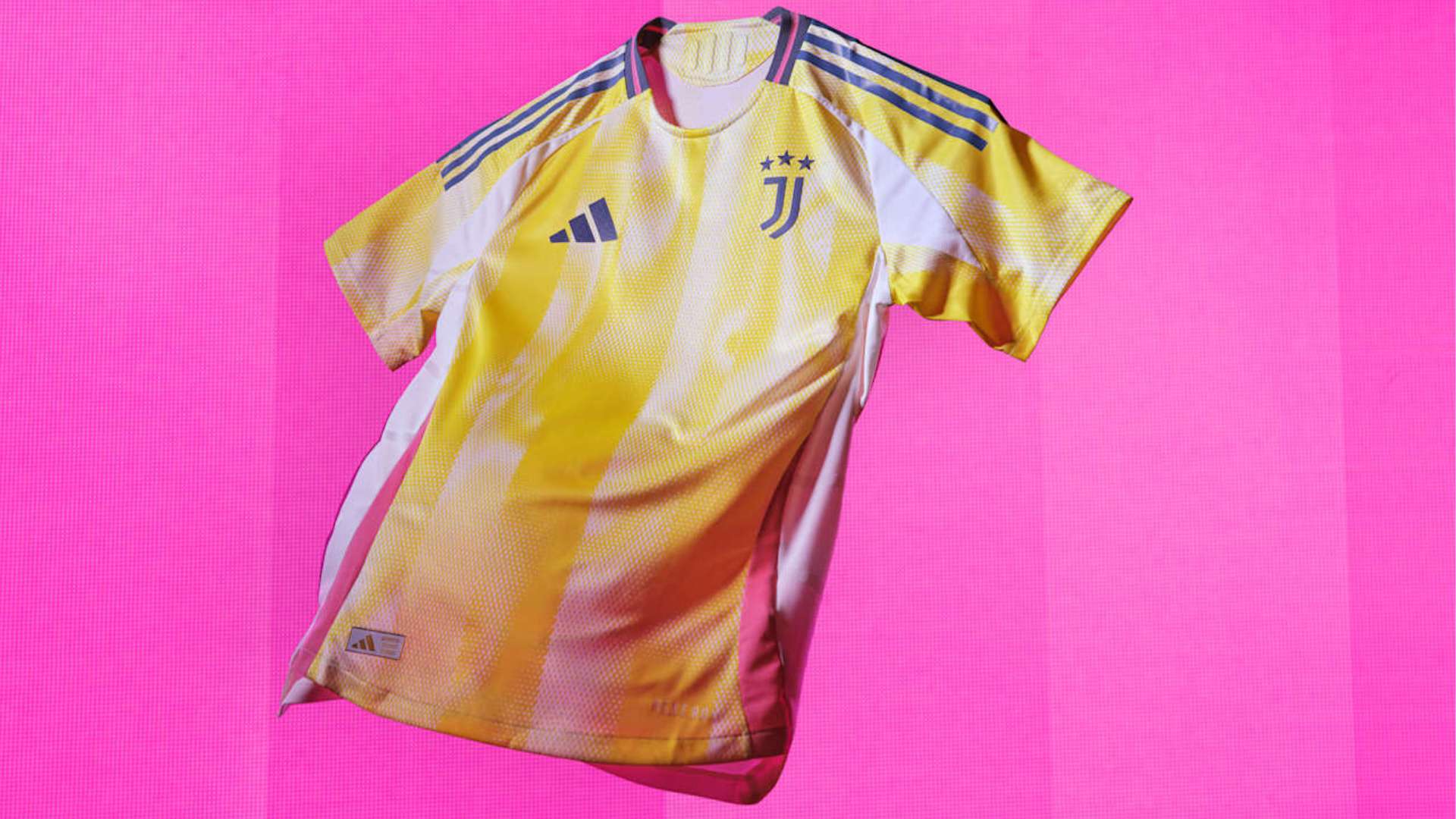 是至关重要 是至关重要